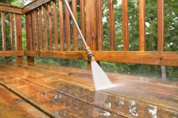 Best Roof Pressure Washing  in Flence, OR